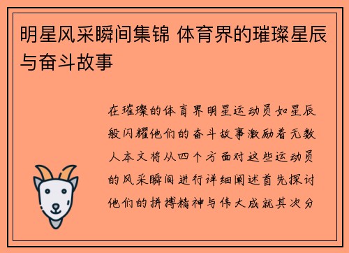 明星风采瞬间集锦 体育界的璀璨星辰与奋斗故事
